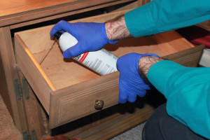BED BUG - TREATMENT DRESSERS