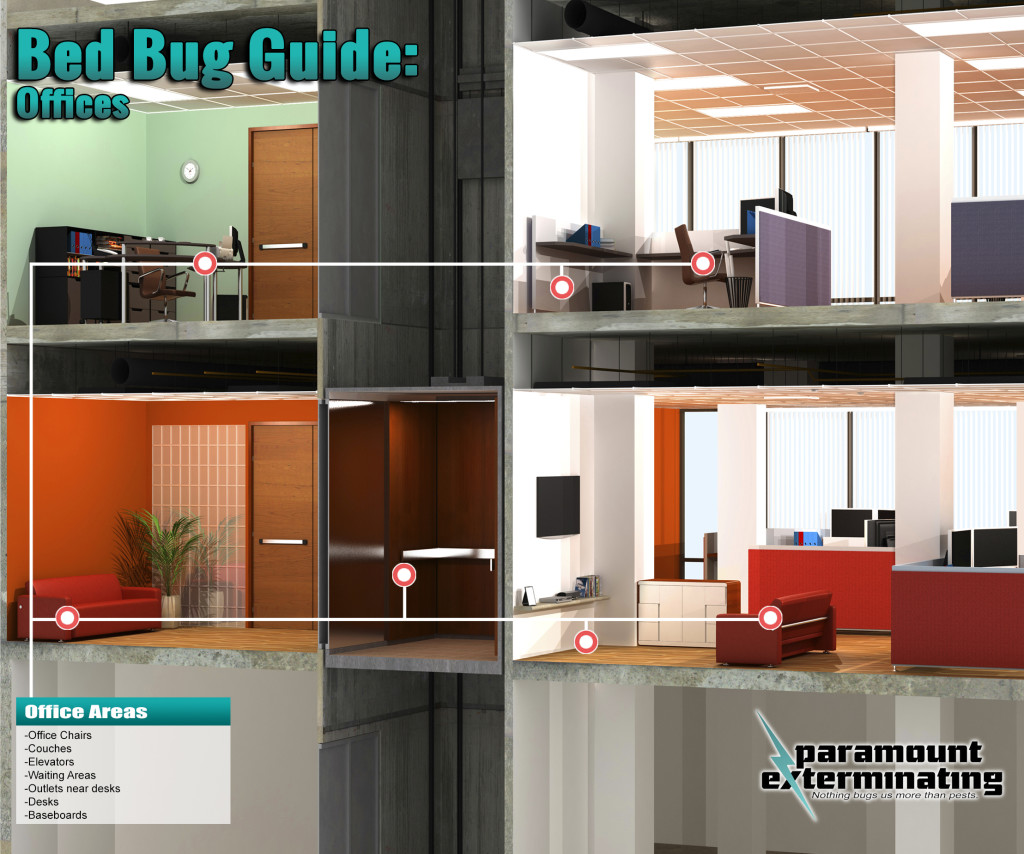 Bed Bug Guide - Office