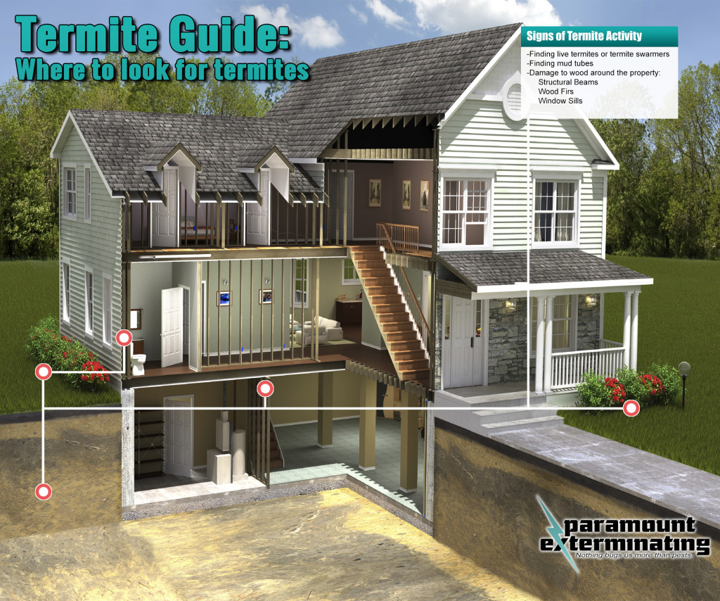 Termite Guide Residential