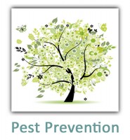 Paramount ExterminatingPest Control - Paramount Exterminating