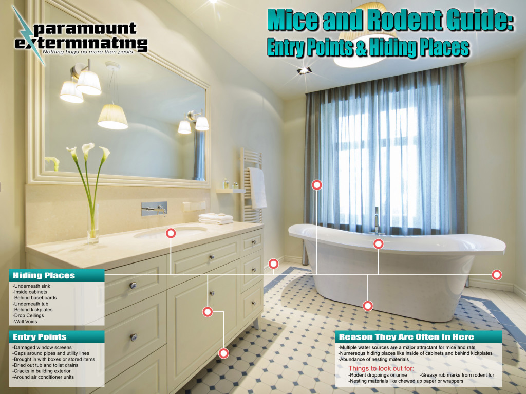 Mice and Rodent Guide - Bathroom