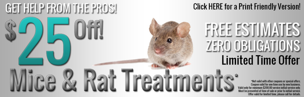 MICE PEST CONTROL SPECIAL OFFER